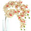 Orchidées Tania disposées dans un vase en verre-1258758442-1258758434