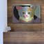 «Spectrum Cat» par Lanre Adefioyue-36107557