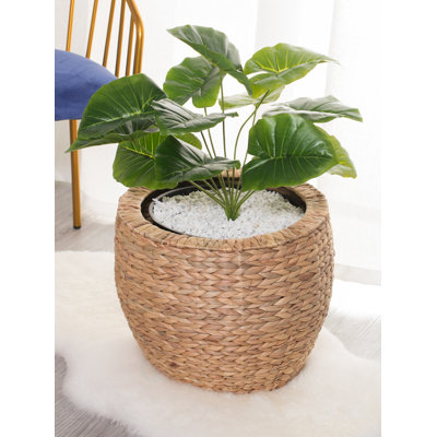 Caenas Pot Planter