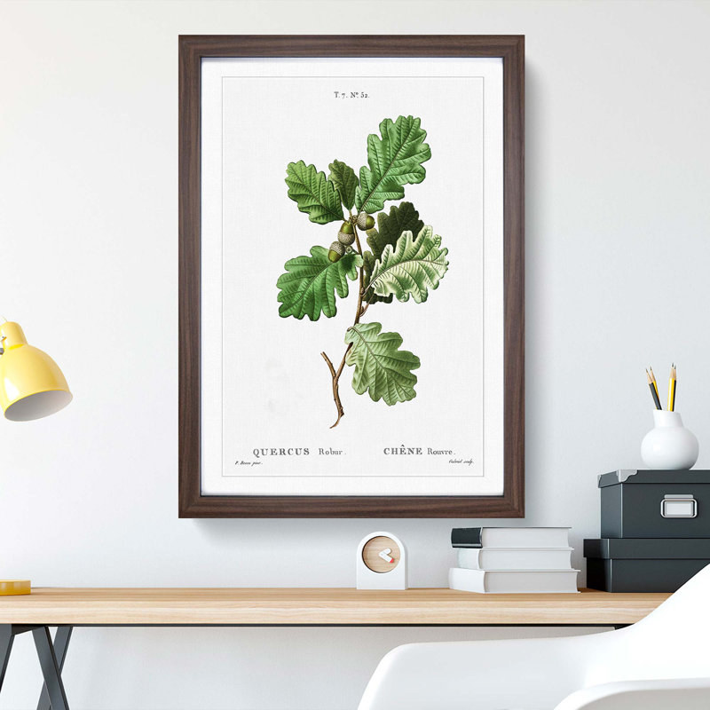 Oak Tree by Pierre-Joseph Redoute - Picture Frame Painting Print, 65cm H x 48cm W x 2cm D, Walnut Framed