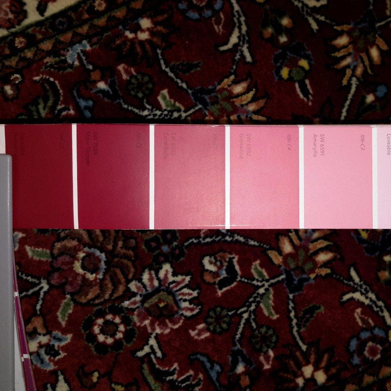 Oriental Area Rug in Red