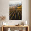 Vignoble italien-2095650376