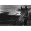 Nightwatch 1 Piece Wrapped Canvas Wall Art-311137387