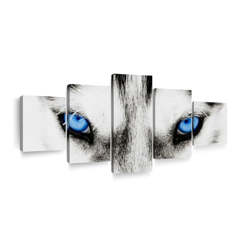 «Husky's Eyes», reproduction d'art sur toile, H 55 po x l 24 po x P 1,25 po