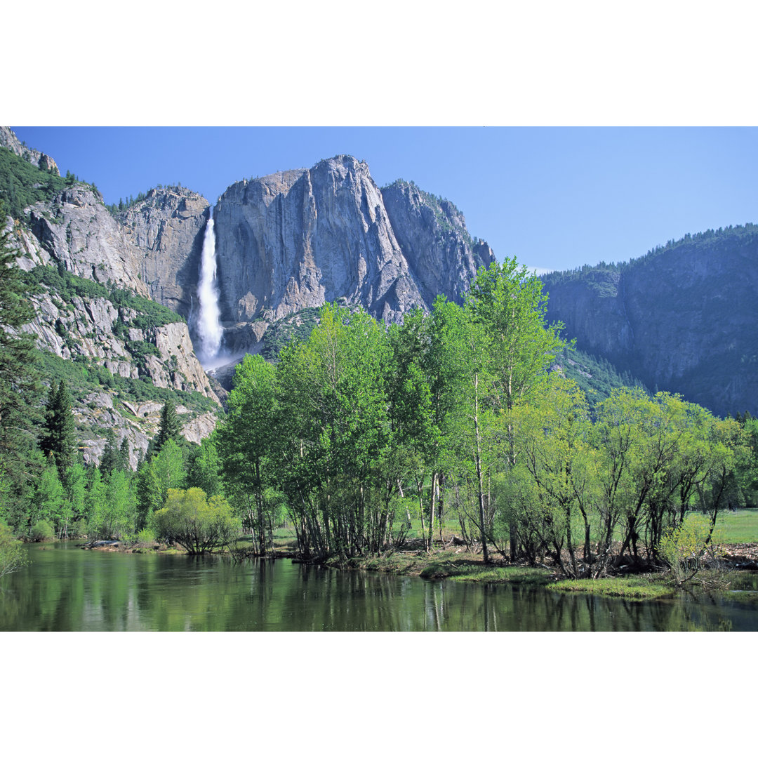 Yosemite Falls von S. Greg Panosian - Druck