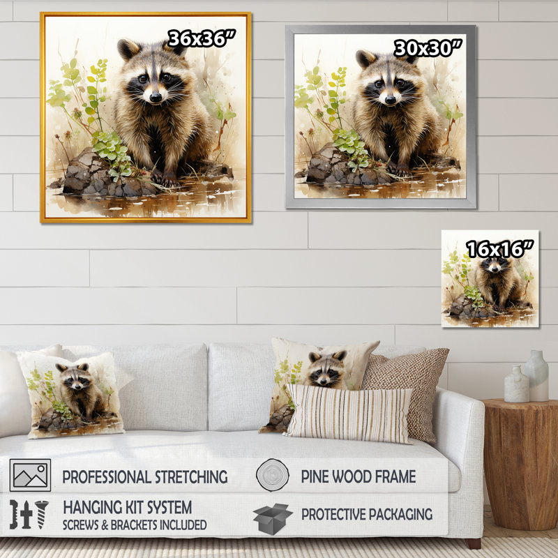 «Raccoon s playful explorer II», art sur toile, Cadre flottant noir, H 16 po x l 16 po x P 1 po