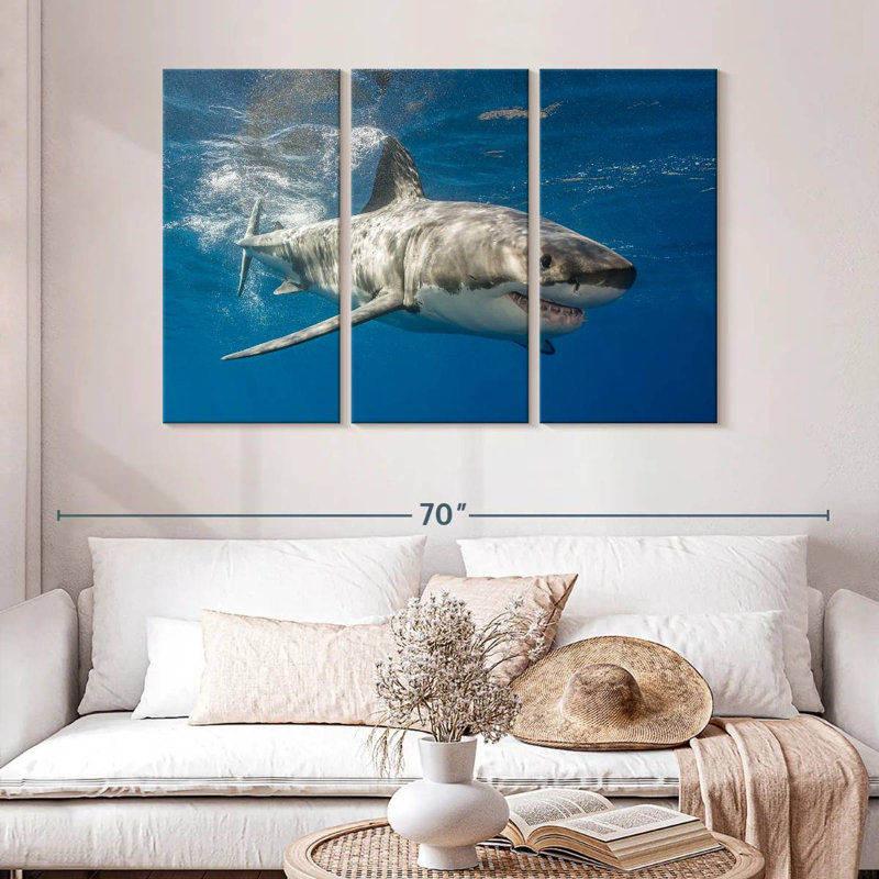 Requin, H 32 po x l 50 po