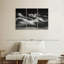 Sleeping Beauties-709747532