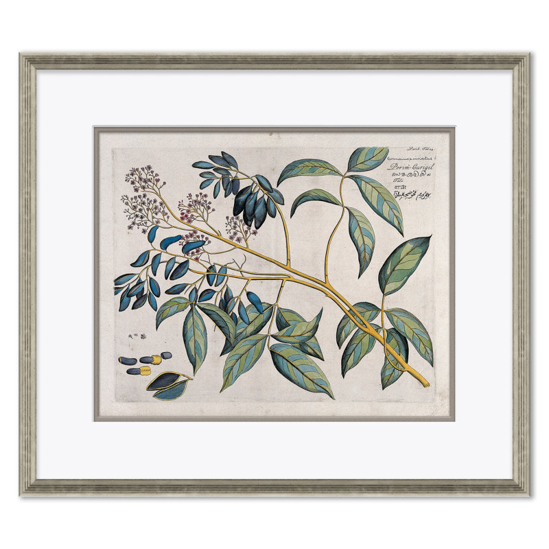 Malaberica (Colored) by Paul Cezanne - Picture Frame Painting Set on Paper