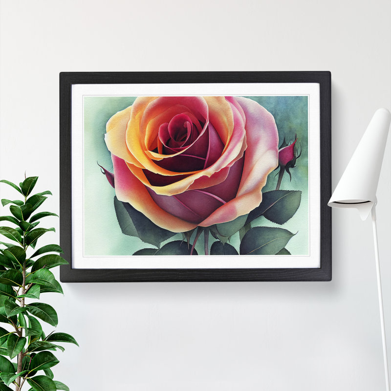 Magnificent Rose Flower - Single Picture Frame Painting, 34cm H x 46cm W x 2cm D, Black
