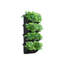 Planter