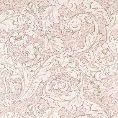 Pure Bachelors Button Wallpaper