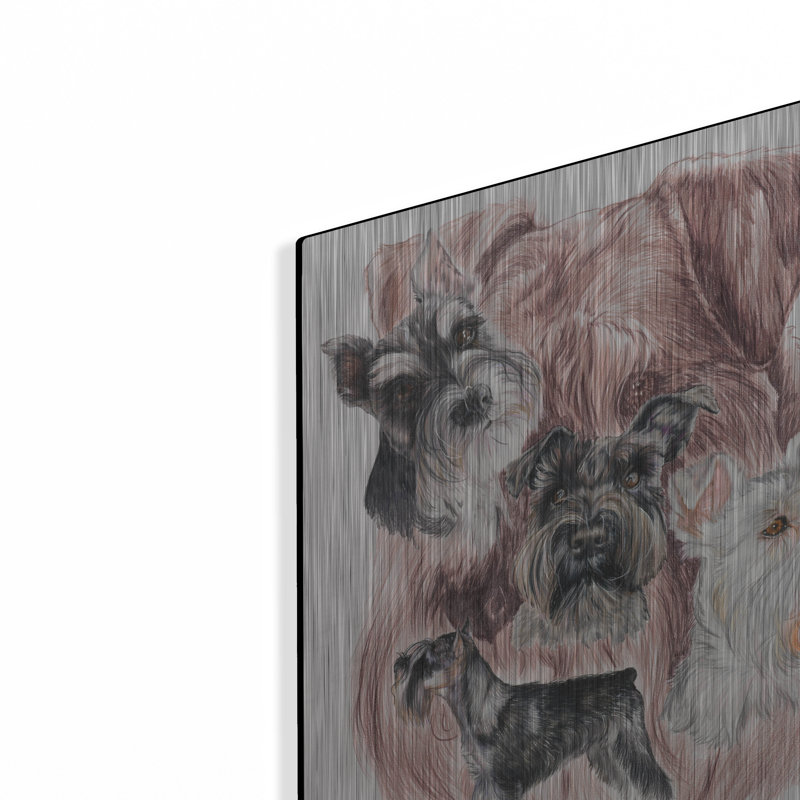 "Schnauzer miniature" par Barbara Keith, H 16 po x l 12 po