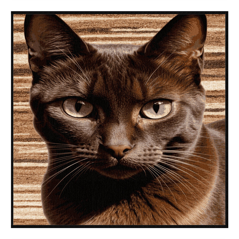  Tapis lavable brun Havana, Carré 3 pi