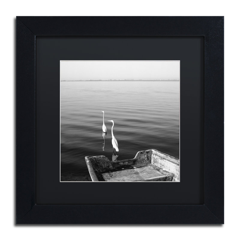 Black Framed Herons Photography on Canvas with Acrylic Mat
