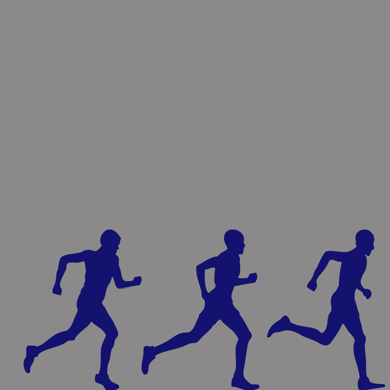 Moneta Sports Non-Wall Damaging Wall Decal, Navy Blue