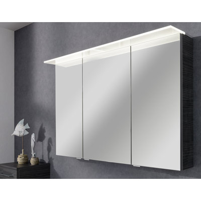 mm Wide mm H Surface Mirrored Cabinet with Mirror