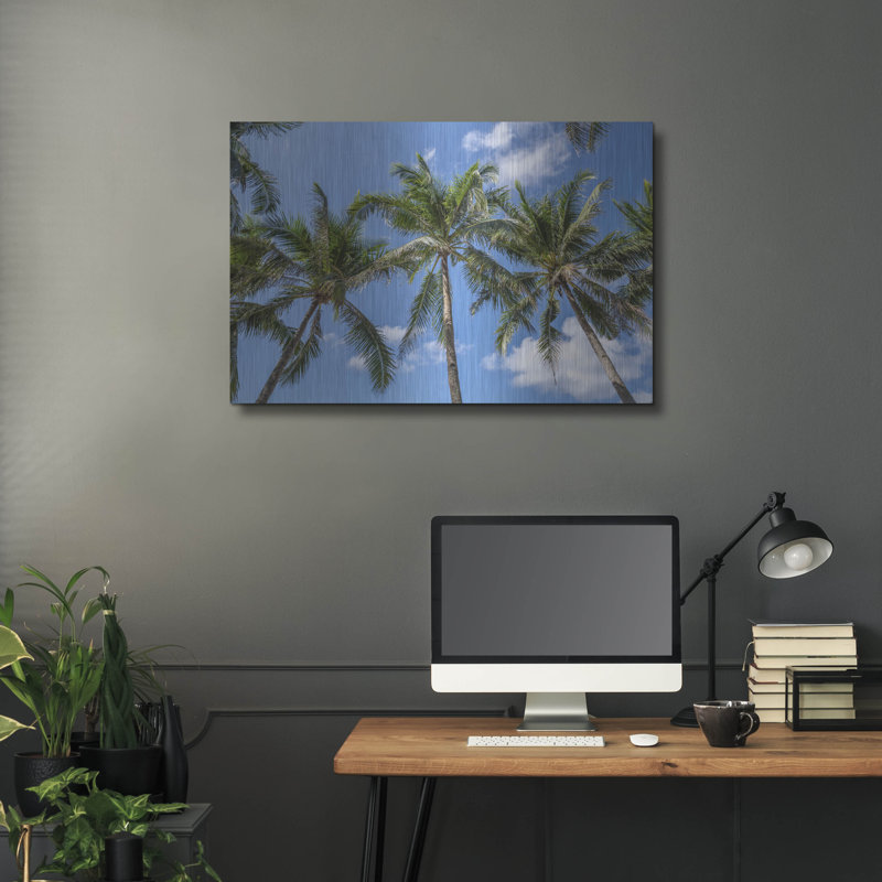«Palawan Palm Trees I» par Richard Silver, art mural en métal, H 24 po x l 36 po