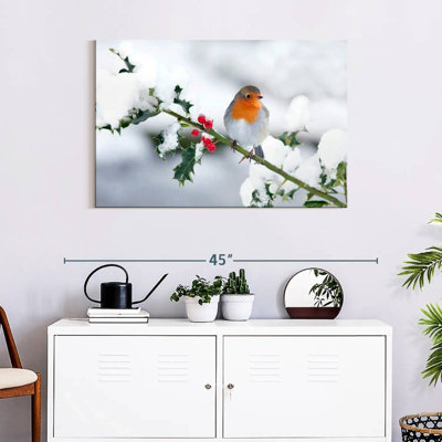Brampt Winter Robin Songbird
