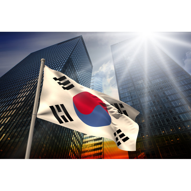 Mariaya South Korea National Flag - Wrapped Canvas Print, 30cm H x 46cm W x 3.8cm D