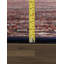 Bidjar One-of-a-Kind 8'5" Hand Knotted Area Rug