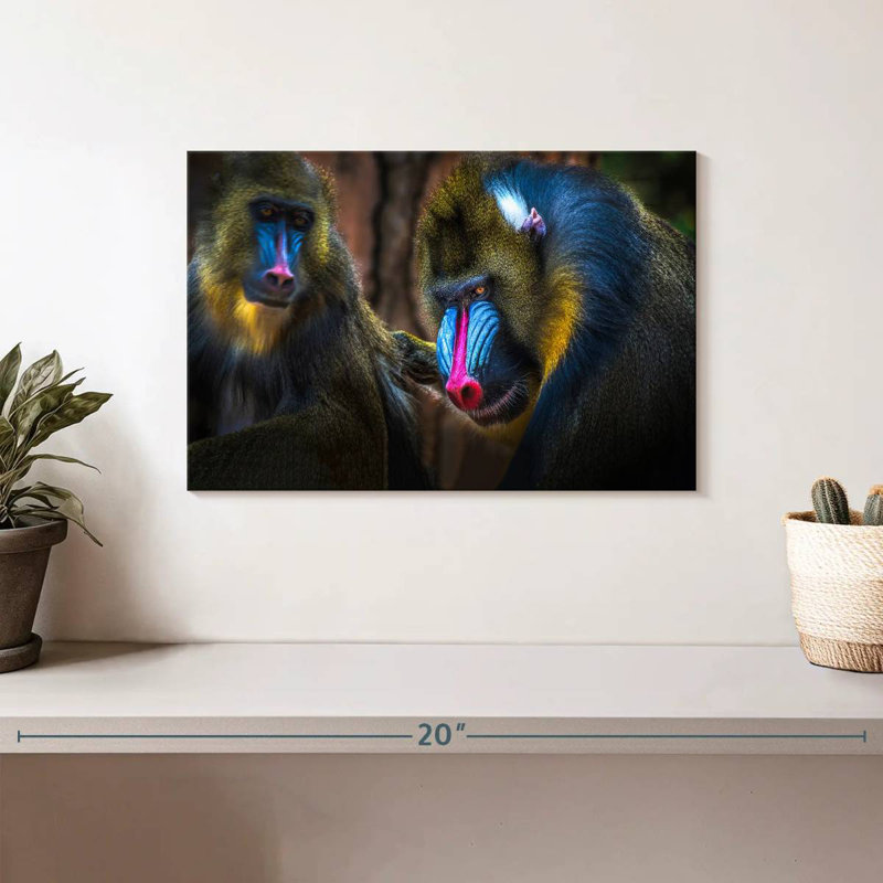 Two Mandrill Monkeys, 8" H x 12" W