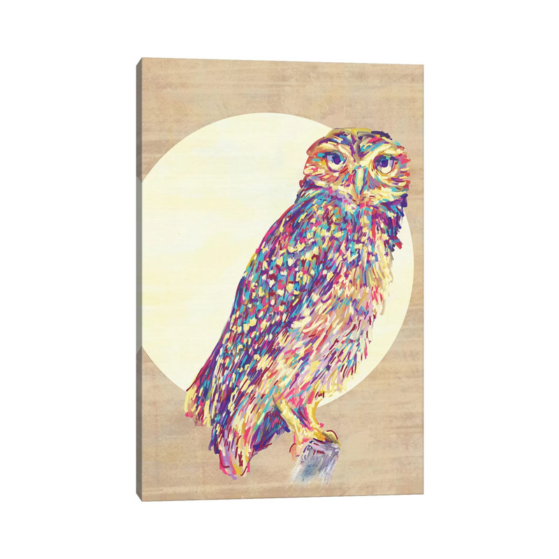 Owls by Jacqueline Maldonado - Wrapped Canvas Print, 30.48cm H x 20.32cm W x 1.905cm D