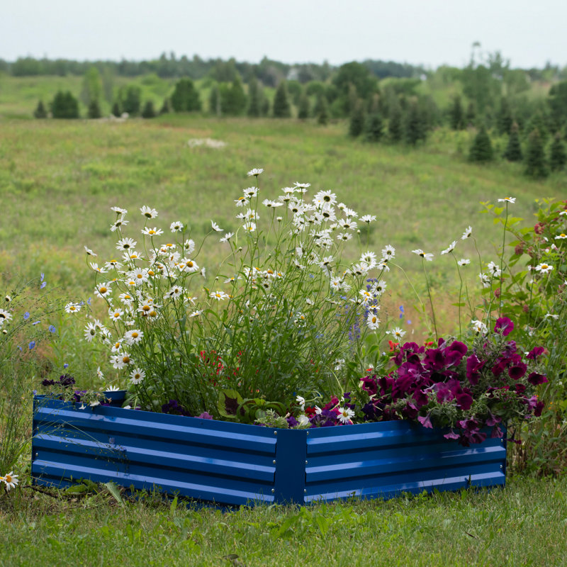 Lit de jardin surélevé rond en acier galvanisé Rondrick - bleu - l 4 pi x P 4 pi x H 1 pi, Bleu