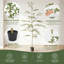 Arbre d'olivier artificiel 6 pi avec pot, plantes d'olive noires réalistes pour la décoration intérieure-1187859335