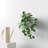 Hilaria Ceramic Wall Planter-1019888364-1019888365