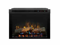 Fireplace Insert
