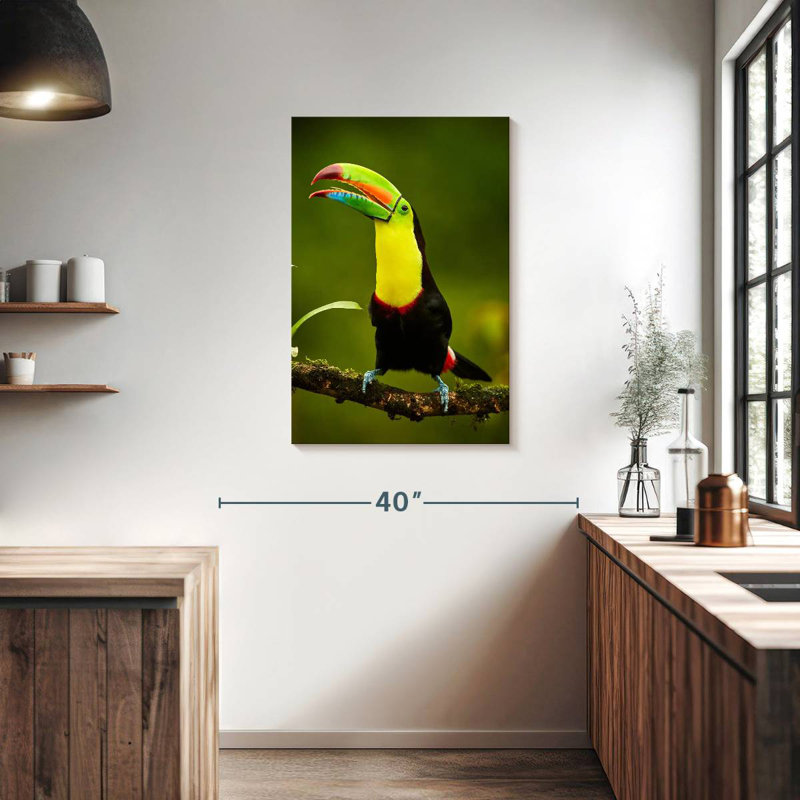 Toucan arc-en-ciel Brampt, H 36 po x l 24 po