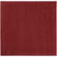 Tapis rouge intérieur / extérieur Nourison Essentials-1307737363