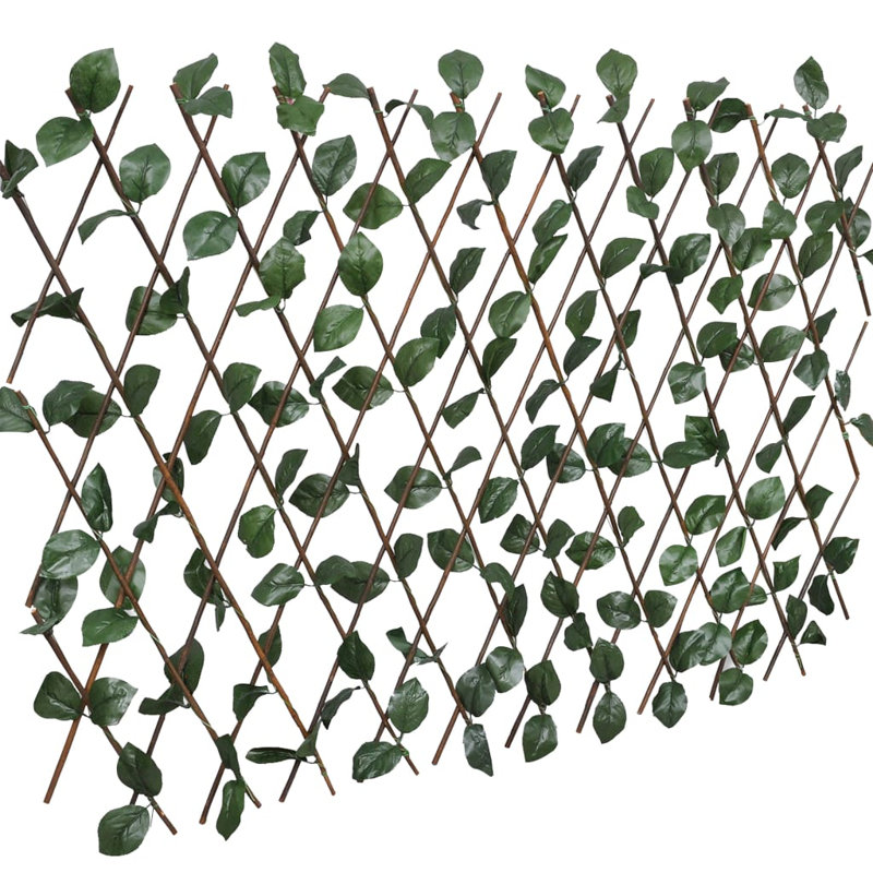 Olivian 180cm H Wood Expanding Trellis, 180cm H x 30cm W