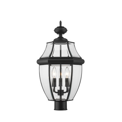 Allianora Transparent Lantern Head