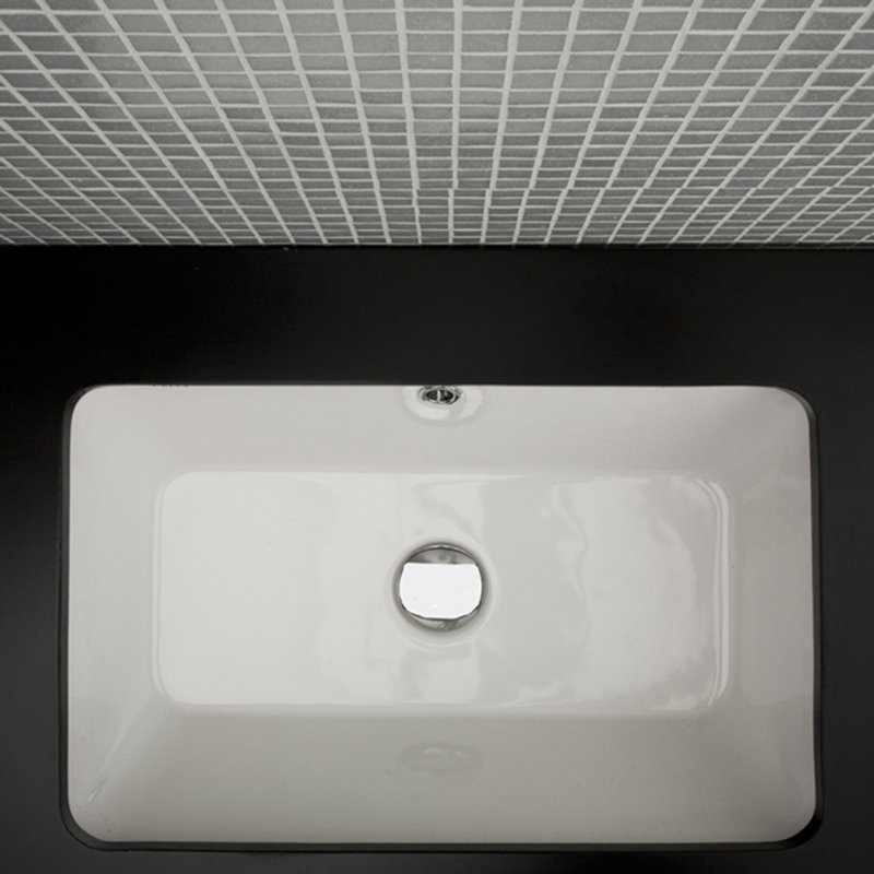 Aquagrande 23.62'' L Bathroom Sink