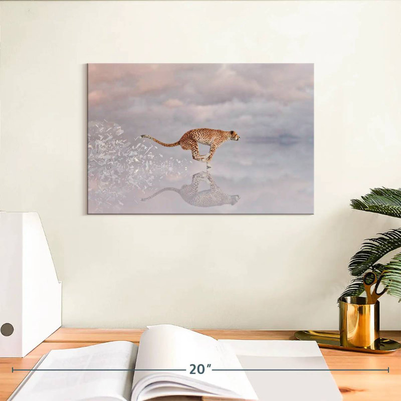 Chat sauvage Brampt