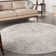 Pryce Abstract Indoor Rug