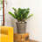 13 in.Gray Wicker Self-watering Planter-1283686969-1283686971