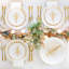 Medici Handmade Terra Bianca Dinner Plate