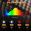 Naomi Grow Light