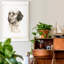 Reproduction d’art sur toile tendue « Danchin setter »-221541496