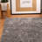 Debellis Indoor Rug-200521701