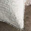 Naomi Sheer Overlay Euro Sham