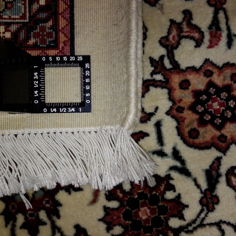 Wilhemenia Oriental Area Rug in Beige