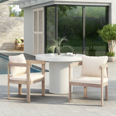 Dining Armchairs With Cushions(Set Of 2)
