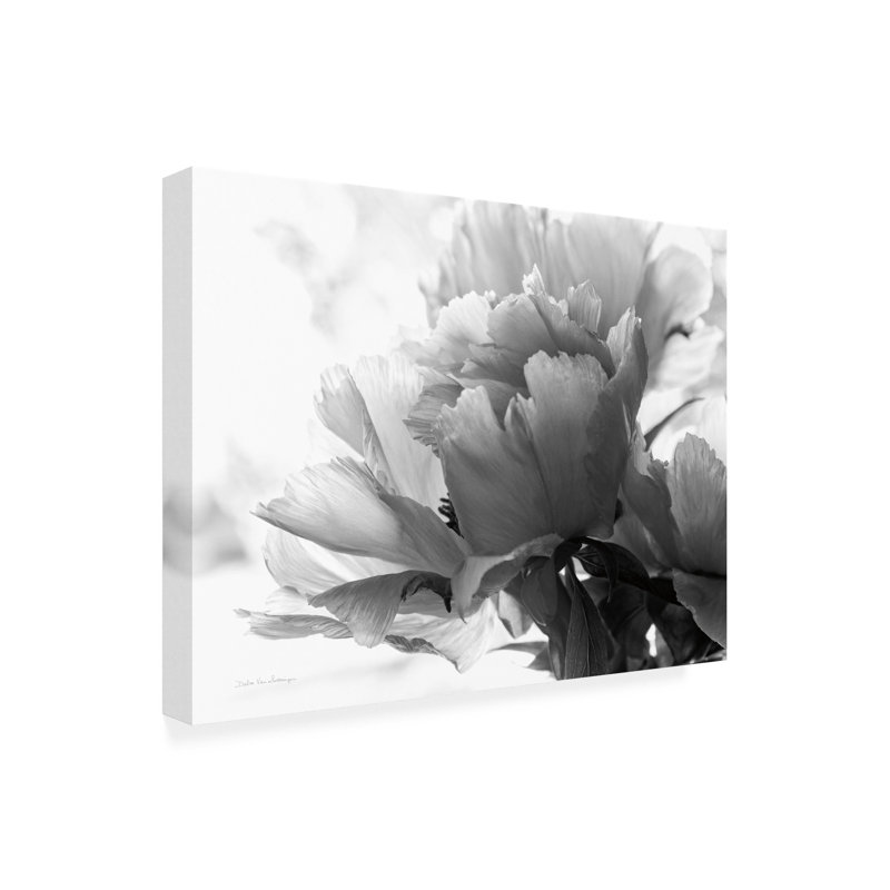 Art mural sur toile tendue - Art mural "Pivoine translucide" par Debra Van Swearingen pour le salon, la chambre à coucher ou le bureau - 18 x 24