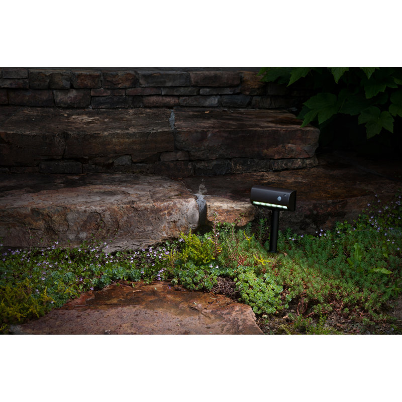 Bronze LED Motion Sensor Garden Pathway Light