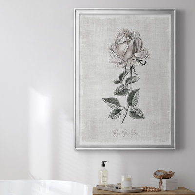 Toile encadrée de qualité supérieure Vintage Botanical II - prête à être accrochée