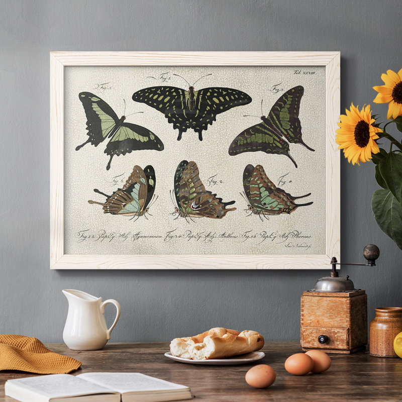 «Crackled Butterflies II», peinture sur toile encadrée, Blanc, H 18 po x l 26 po x P 1,5 po